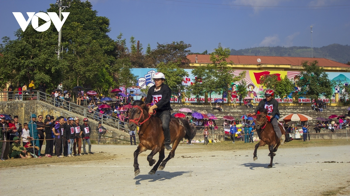 Bac Ha horse race becomes national intangible heritage